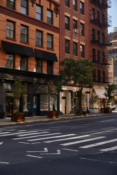 New York 'un alışveriş bölgesinde güz ağaçları ve yaya geçidi yakınında dükkanları olan binalar