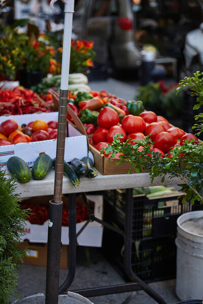 assortment of fresh vegetables and greenery on seasonal farmers market on street of new york city