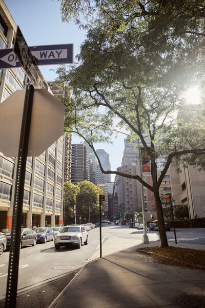 Широкий проспект с современными зданиями, автомобилями и осенними деревьями в солнечный день в Нью-Йорке, осенняя сцена