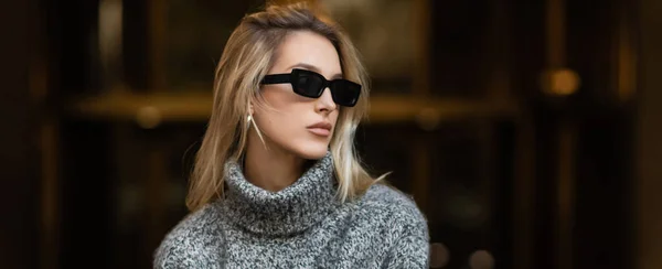 Stylish woman in sunglasses and grey sweater looking away in New York, banner — Stock Photo