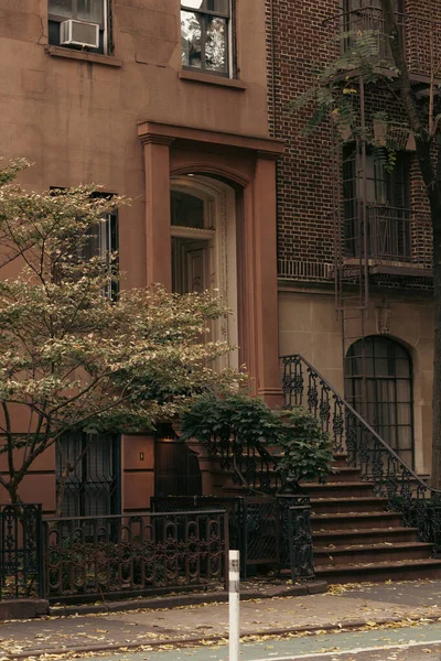 Edificio antiguo con escaleras cerca del árbol y follaje otoñal en la calle del distrito de Brooklyn Heights en la ciudad de Nueva York - foto de stock