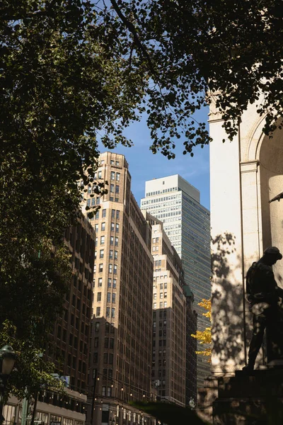 Arbres près de bâtiments modernes en béton à Manhattan à New York — Photo de stock