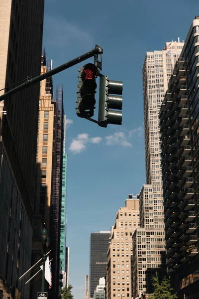Traffic light on city street near modern buildings in New York City against blue sky — Stock Photo