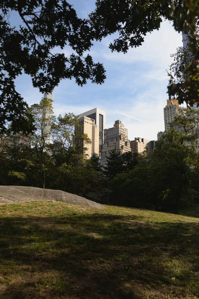 Parque com gramado e árvores verdes perto de edifícios contemporâneos em Nova York — Fotografia de Stock