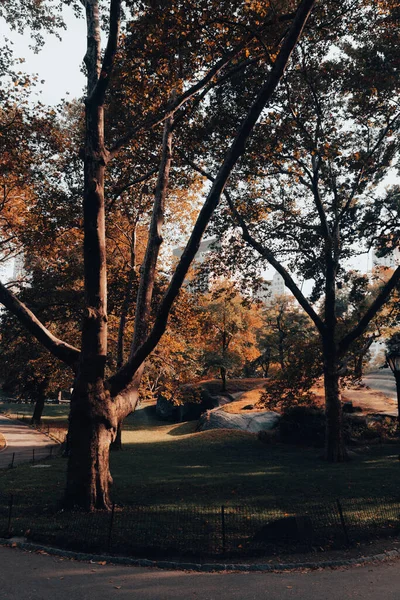 Autumn park with lawn and walkways in New York City — Stock Photo