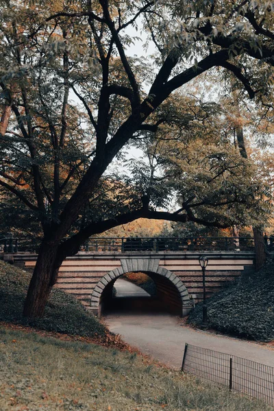 Fußgängerbrücke und Gehweg unter grünen Bäumen im Central Park von New York City — Stockfoto