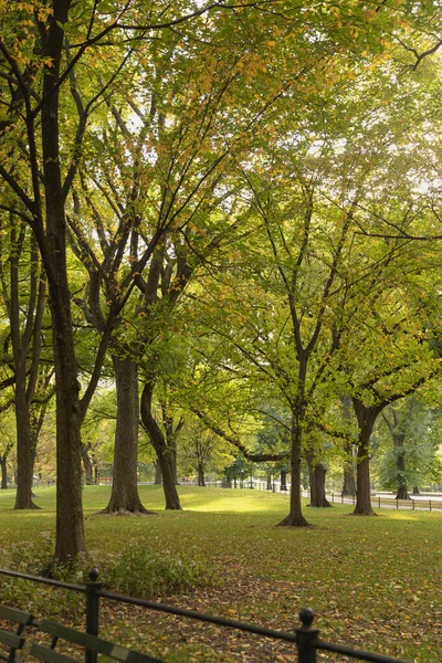 Park with picturesque green trees in New York City — Stock Photo
