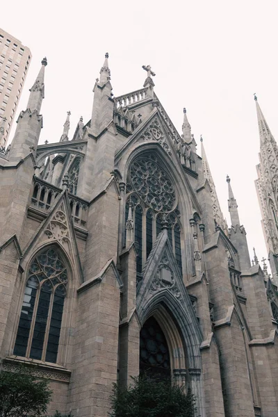 Low angle view of ancient St Patricks Cathedral near trees in New York City — Stock Photo