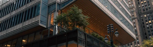 Plantes vertes sur la terrasse du bâtiment contemporain dans le quartier Manhattan de New York, bannière — Photo de stock