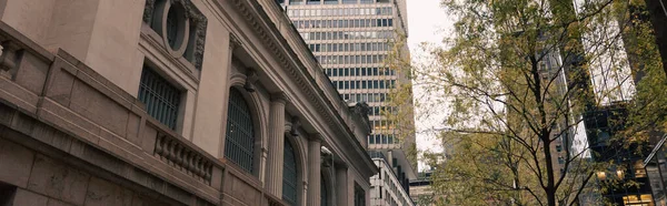 Серое каменное здание рядом с деревьями с осенней листвой на улице Нью-Йорка, баннер — стоковое фото