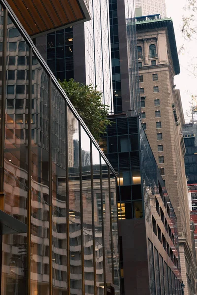 Edifício moderno com fachada de vidro e plantas verdes no terraço no centro da cidade de Nova York — Fotografia de Stock