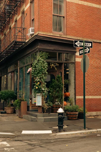 Bâtiment en brique rouge avec des plantes vertes en pot près du magasin avec des vitrines sur la rue avec des panneaux routiers à New York — Photo de stock