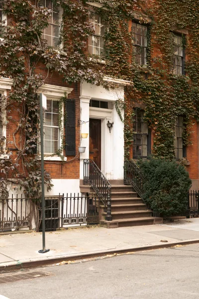 Житло з зеленим плющем і сходами біля білого входу на вулиці Нью-Йорка. — стокове фото