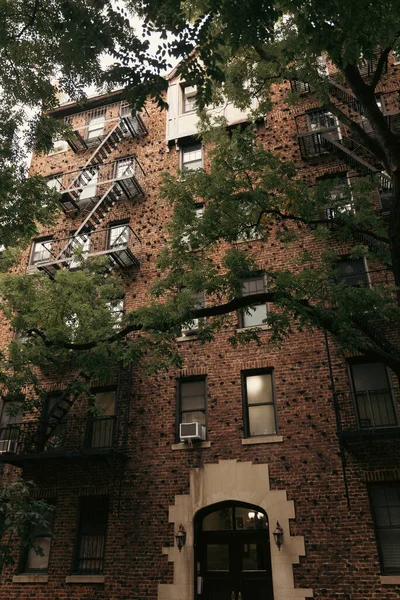 Tree near brick building with fire escape on street in New York City - foto de stock