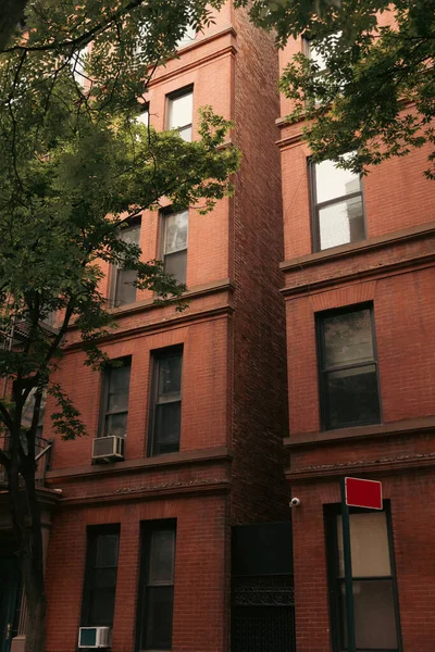 Деревья возле кирпичных зданий на Бруклинской возвышенности в Нью-Йорке — стоковое фото