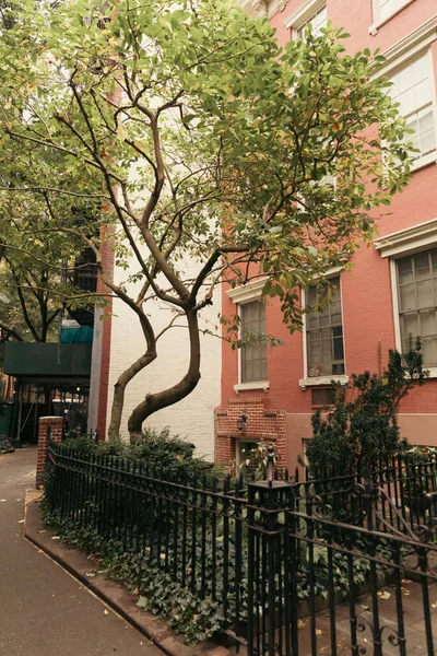 Дерево и забор рядом со зданием на городской улице в Нью-Йорке — стоковое фото