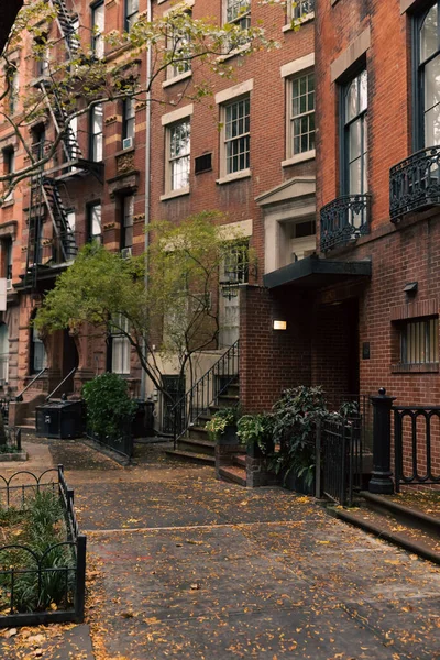 Падшие листья на аллее городской улицы в Нью-Йорке — стоковое фото