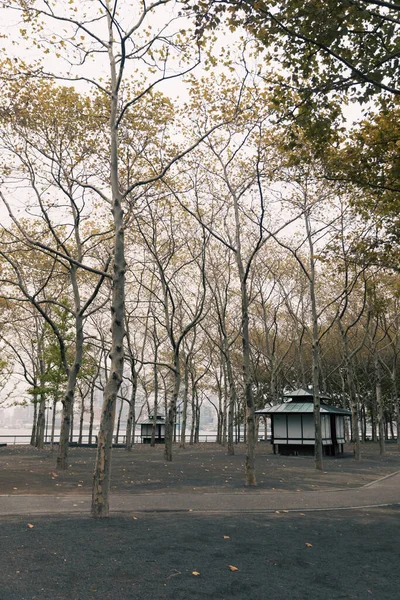 Árboles en el parque de otoño vacío en la ciudad de Nueva York - foto de stock