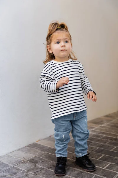 Полная длина малыша девочка в полосатой рубашке с длинным рукавом и джинсах, стоящих рядом с белой стеной — стоковое фото