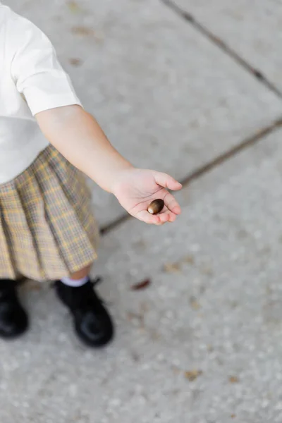 Vista superior de niña recortada en falda sosteniendo bellota y de pie en la calle - foto de stock