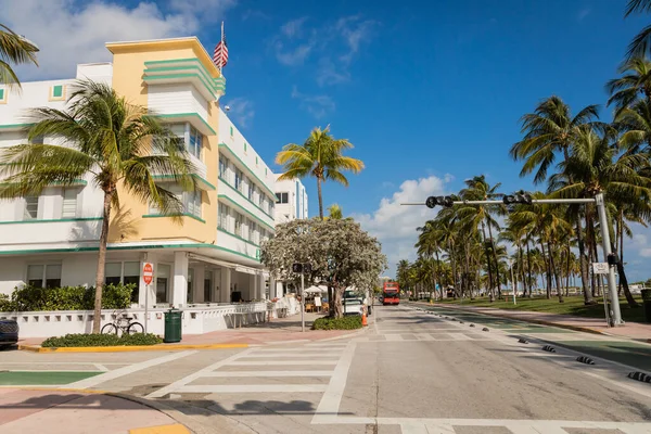 Grüne Palmen wachsen neben Straße und modernem Gebäude in Miami — Stockfoto