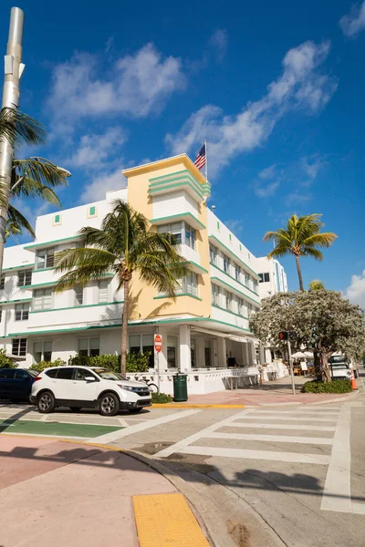 Grüne Palmen neben Straße und moderner Eigentumswohnung in Miami — Stockfoto
