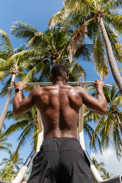 Vista trasera del hombre afroamericano fuerte en pantalones cortos haciendo ejercicio al lado de palmeras en Miami Beach - foto de stock