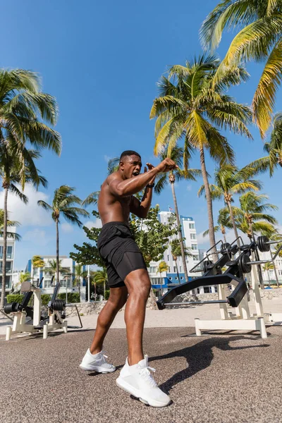 Без сорочки афроамериканський боєць у шортах, що вправляються поруч з пальмами на пляжі Маямі — стокове фото