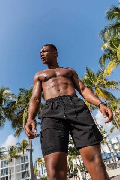 Visão de baixo ângulo de desportista afro-americano sem camisa em shorts de pé ao lado de palmeiras após o treino em Miami — Fotografia de Stock