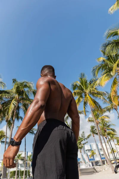 Rückansicht eines hemdslosen afrikanisch-amerikanischen Sportlers in kurzen Hosen, der nach dem Training in Miami neben Palmen steht — Stockfoto