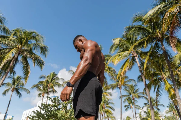 Vista a basso angolo dello sportivo africano americano muscoloso e senza maglietta in piedi accanto alle palme dopo l'allenamento a Miami — Foto stock