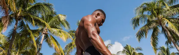 Vista de ángulo bajo del sudoroso y sin camisa deportista afroamericano de pie junto a las palmeras después del entrenamiento en Miami, pancarta - foto de stock