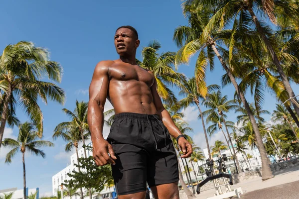 Tiefansicht eines muskulösen afrikanisch-amerikanischen Sportlers in kurzen Hosen, der nach dem Training in Miami neben Palmen steht — Stockfoto