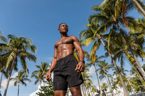 Vista de bajo ángulo del sudoroso y musculoso deportista afroamericano en pantalones cortos parados junto a palmeras después del entrenamiento en Miami - foto de stock