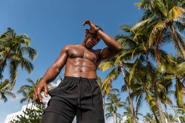 Vista de ángulo bajo del sudoroso deportista afroamericano en pantalones cortos parados junto a palmeras verdes después del entrenamiento en Miami - foto de stock