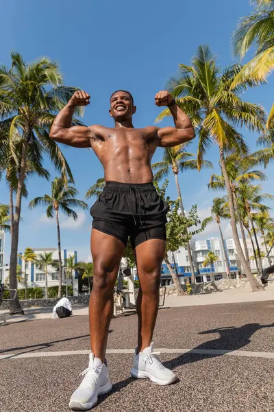 Ganzkörperansicht eines glücklichen afrikanisch-amerikanischen Sportlers, der neben grünen Palmen in Miami Muskeln zeigt — Stockfoto