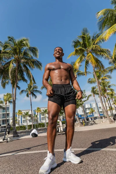 Visão de comprimento total de feliz esportista afro-americano em pé ao lado de palmeiras verdes em Miami — Fotografia de Stock