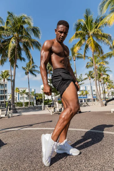 Vue pleine longueur du sportif afro-américain en baskets et shorts debout à côté de palmiers verts à Miami — Photo de stock