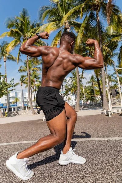 Vista completa del musculoso deportista afroamericano en zapatillas de deporte y pantalones cortos posando junto a palmeras en Miami - foto de stock