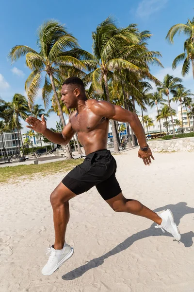 Африканский мужчина без рубашек в шортах бегает по песку рядом с пальмами на пляже Майами — стоковое фото