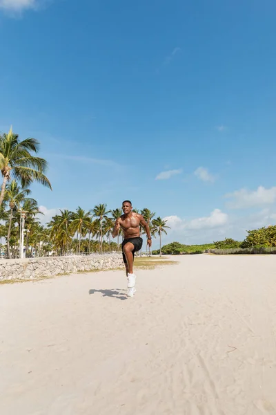 Hemdloser afrikanisch-amerikanischer Mann in kurzen Hosen läuft auf Sand neben grünen Palmen in Miami Beach — Stockfoto