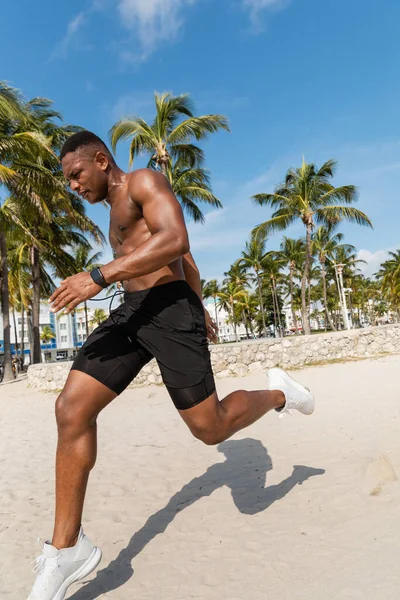 Hombre afroamericano musculoso en pantalones cortos corriendo sobre arena junto a palmeras en la playa de Miami - foto de stock