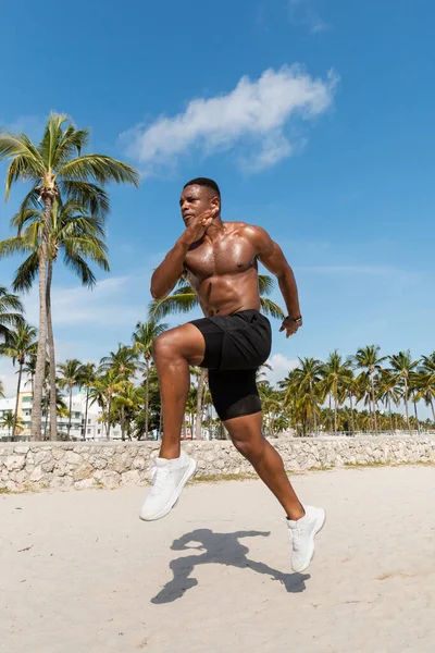 Muskulöser afrikanisch-amerikanischer Mann in kurzen Hosen und Turnschuhen läuft auf Sand in der Nähe von Palmen in Miami Beach — Stockfoto