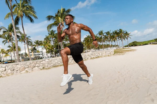 Atlético hombre afroamericano en pantalones cortos y zapatillas de deporte corriendo cerca de palmeras en Miami Beach - foto de stock