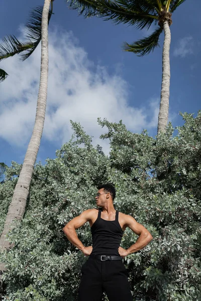Homme cubain athlétique en tenue noire et lunettes près de plantes vertes à l'extérieur à Miami, plage sud — Photo de stock