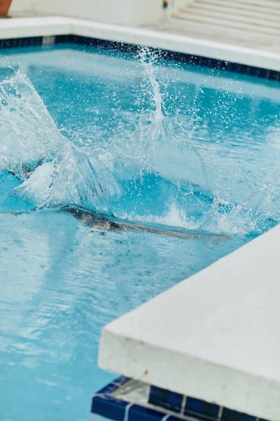 Spruzzi in piscina pubblica all'aperto, ombra di persona tuffarsi in acqua blu in resort di lusso a Miami, libertà, giocoso, spensierato, vibrazioni vacanza, attività ricreative — Foto stock