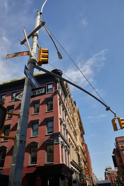 Низький кут зору вуличного полюса з дорожніми знаками та світлофорами біля будівель у нью-йоркському місті — стокове фото