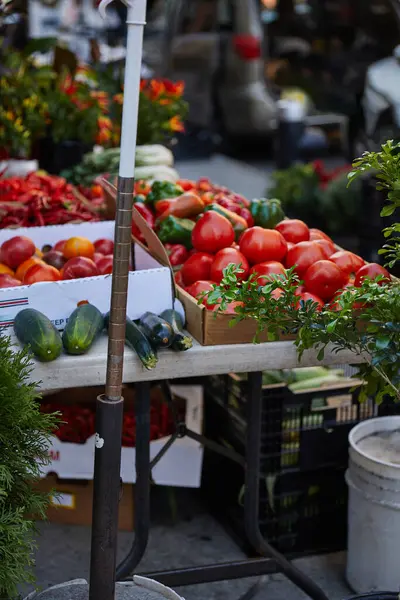 Assortment of fresh vegetables and greenery on seasonal farmers market on street of new york city — Stock Photo