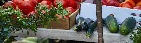 Fresh seasonal vegetables on farmers market on urban street in new york city, autumn harvest, banner — Stock Photo