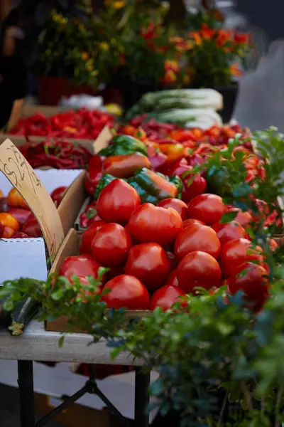 Tomates rojos y pimientos en el mercado estacional de agricultores otoñales en la ciudad de Nueva York, escena callejera - foto de stock